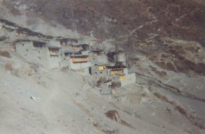 ronghong01